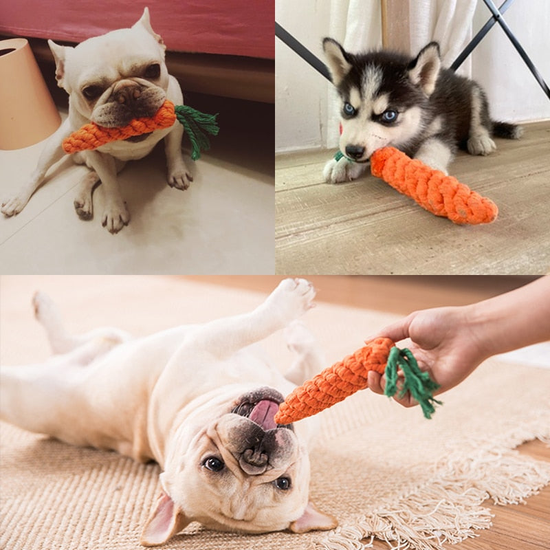 1pc Pet Dog Toys Cartoon Animal Dog Chew Toy