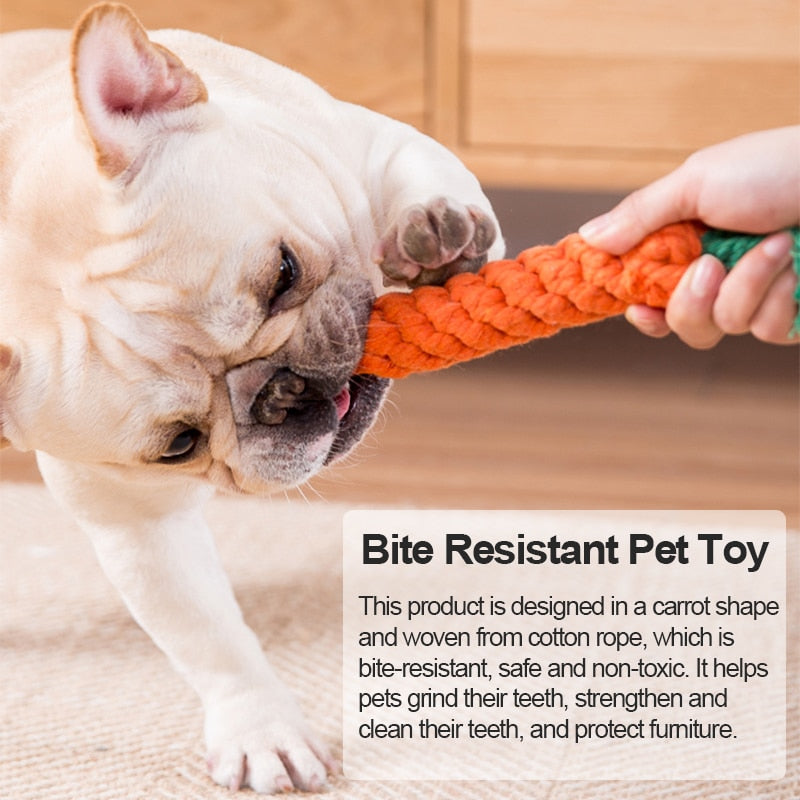 1pc Pet Dog Toys Cartoon Animal Dog Chew Toy