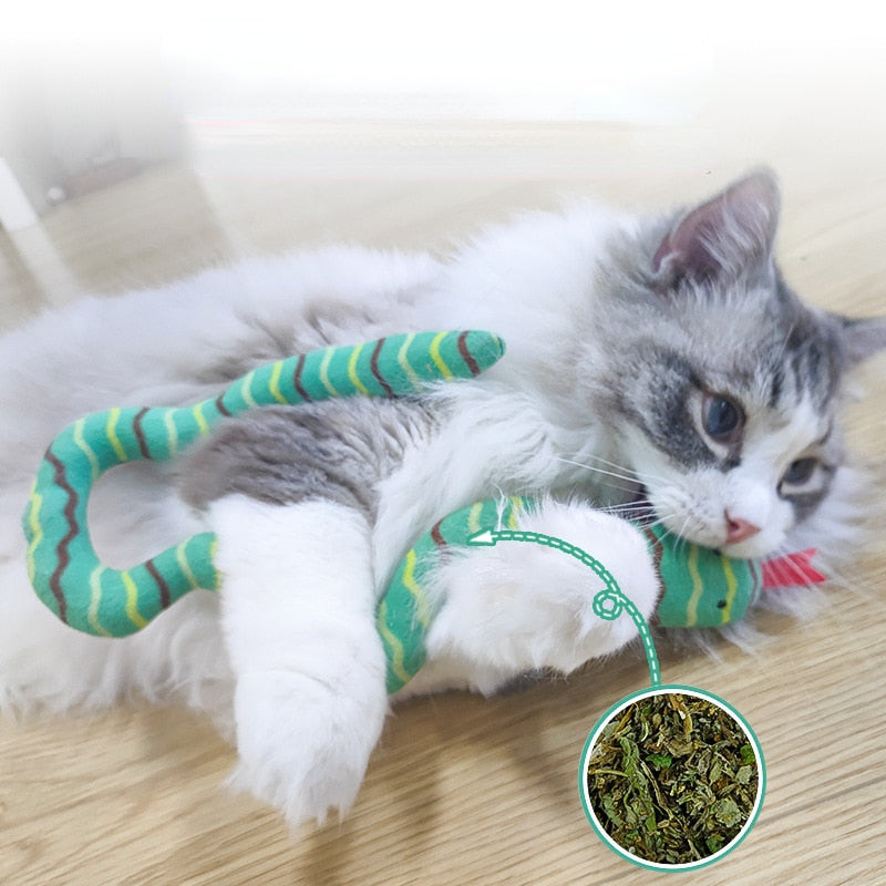 Catnip Toy Interactive Toy Plush Cat Toy Gluttonous Snake Bite-Resistant Molar Interactive Toy