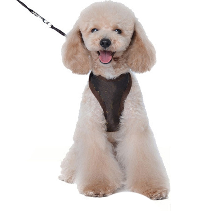 Pet Leash Dog Leash Set FOR SMALL DOGS