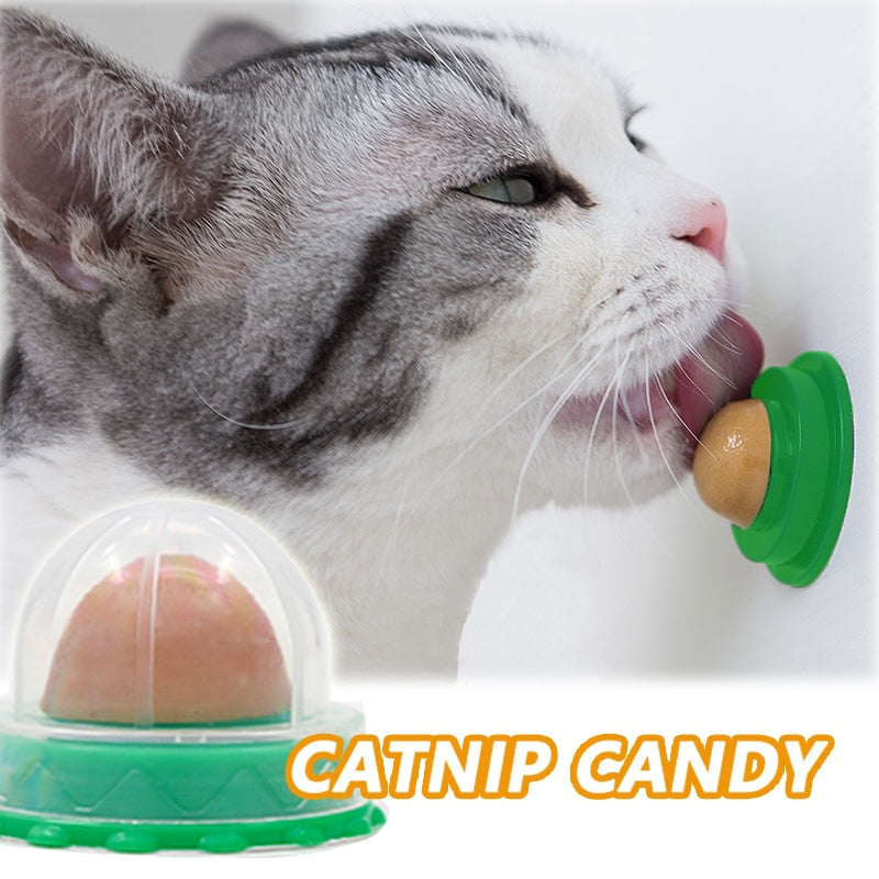 Nutrition Cat Catnip Ball