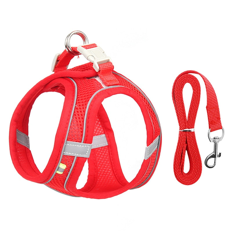 Dog Harness Leash Set for Small Dogs , Cats Adjustable