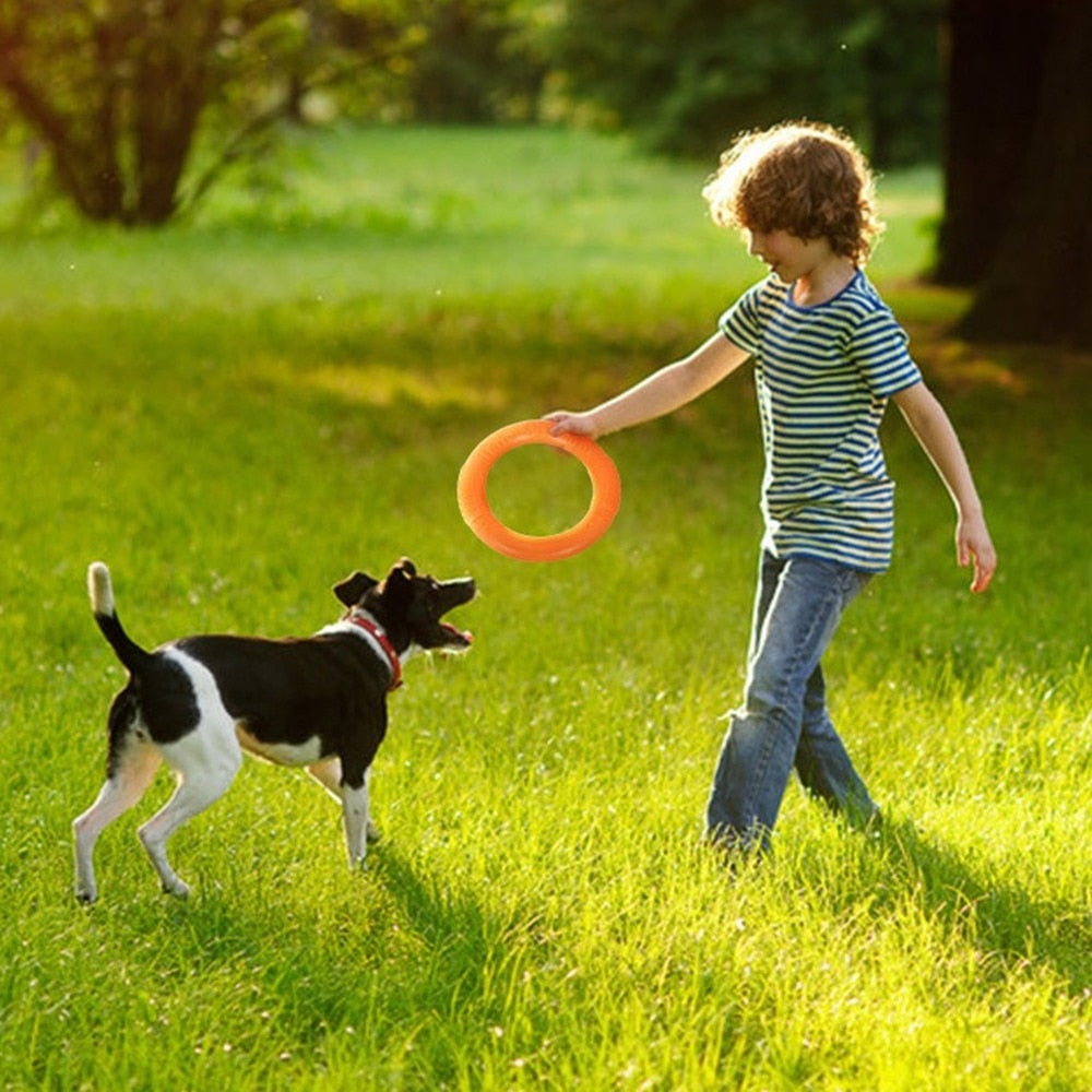 18CM Dog Toys Pet Flying Discs Puppy Training Toy Ring Resistant Bite Floating Toy Game Frisbeed Interactive Dog Supplies