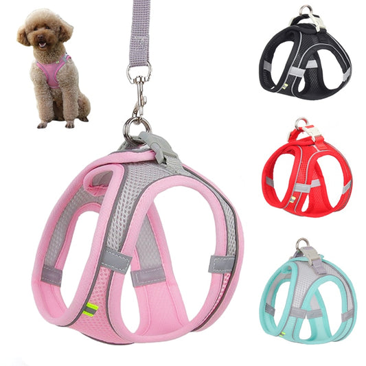 Dog Harness Leash Set for Small Dogs , Cats Adjustable