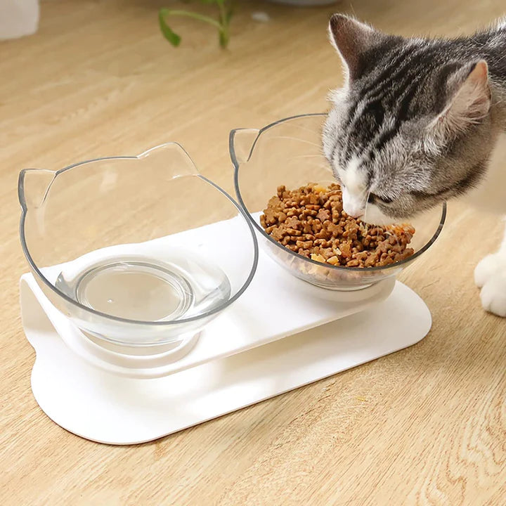 NON-SLIP, ELEVATED DOUBLE PET FOOD BOWLS