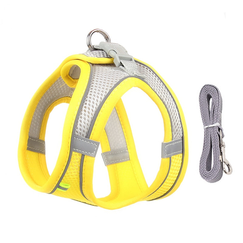 Dog Harness Leash Set for Small Dogs , Cats Adjustable