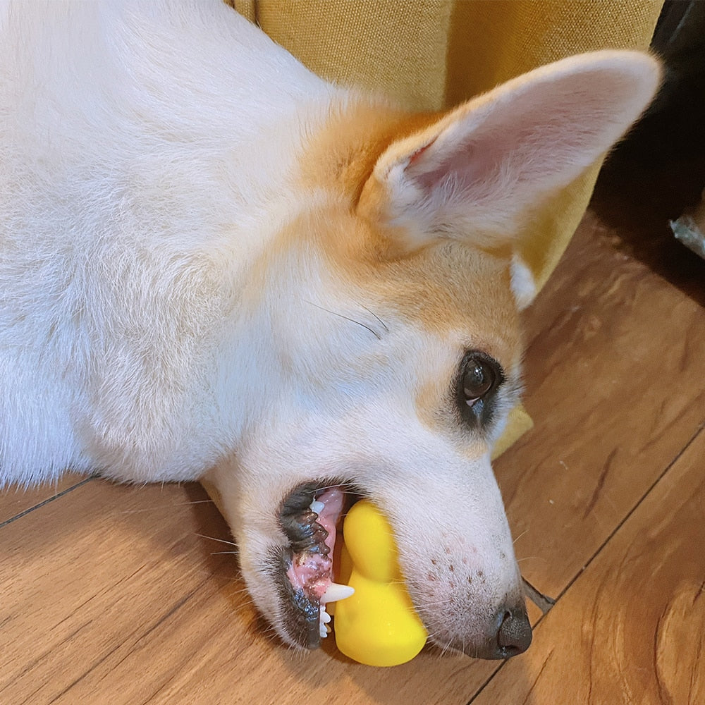 Pet Chew, Yellow Duck Toy