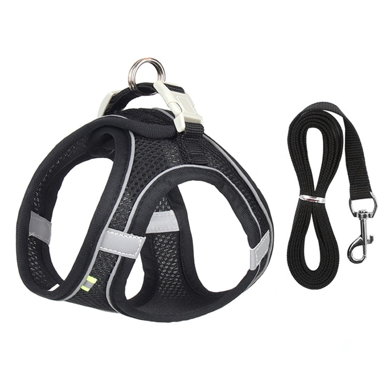 Dog Harness Leash Set for Small Dogs , Cats Adjustable