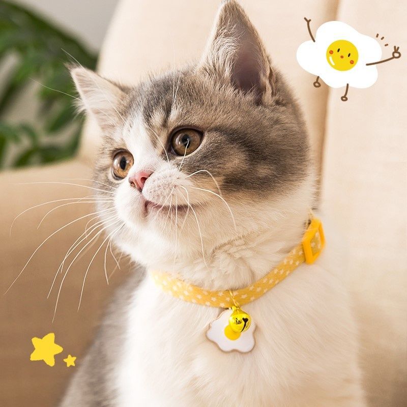 Cat Collars Breakaway  Necklace