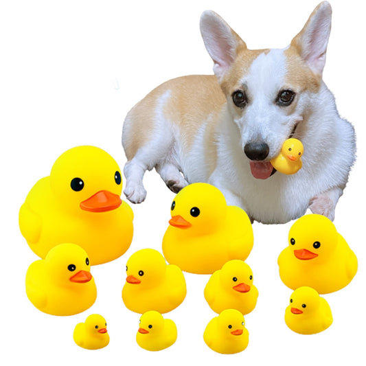 Pet Chew, Yellow Duck Toy